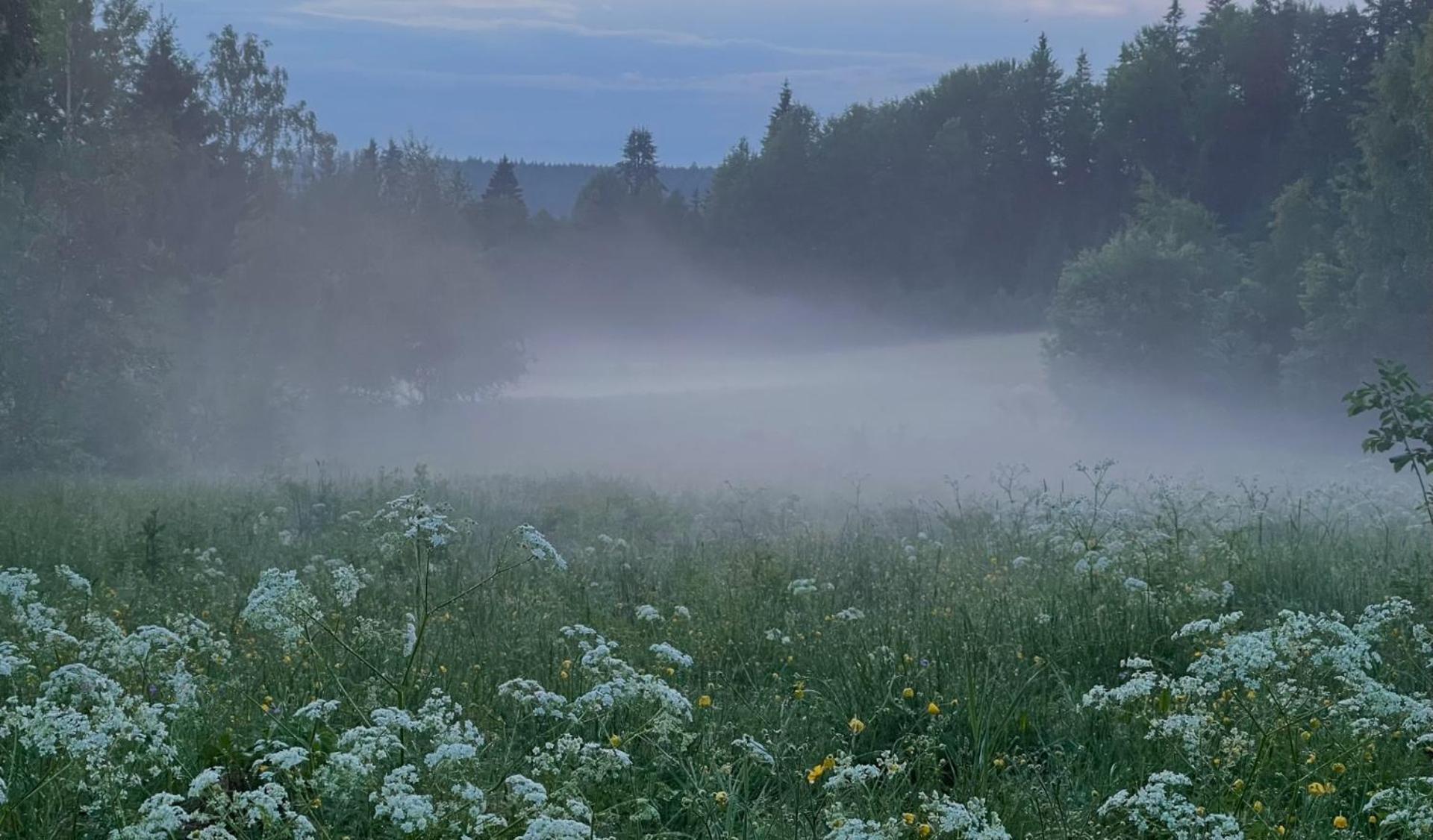 Noretjaerns Stugby Årjäng 外观 照片