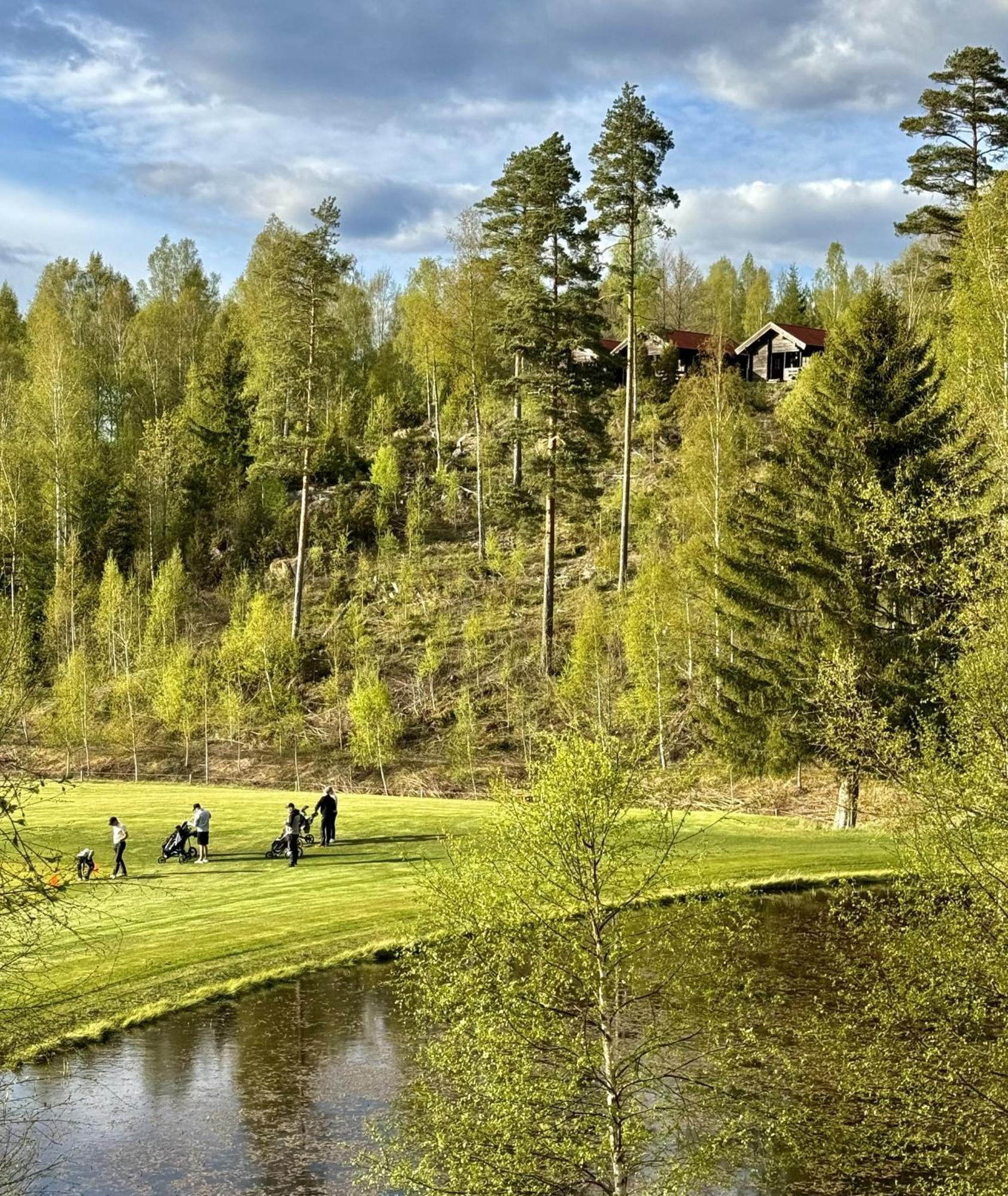 Noretjaerns Stugby Årjäng 外观 照片